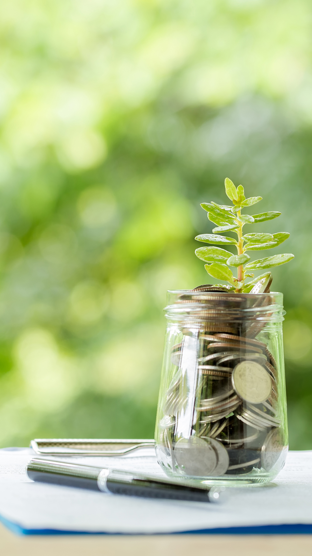 Plant growing over coin filled glass jar